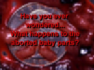 What happens to aborted baby parts?