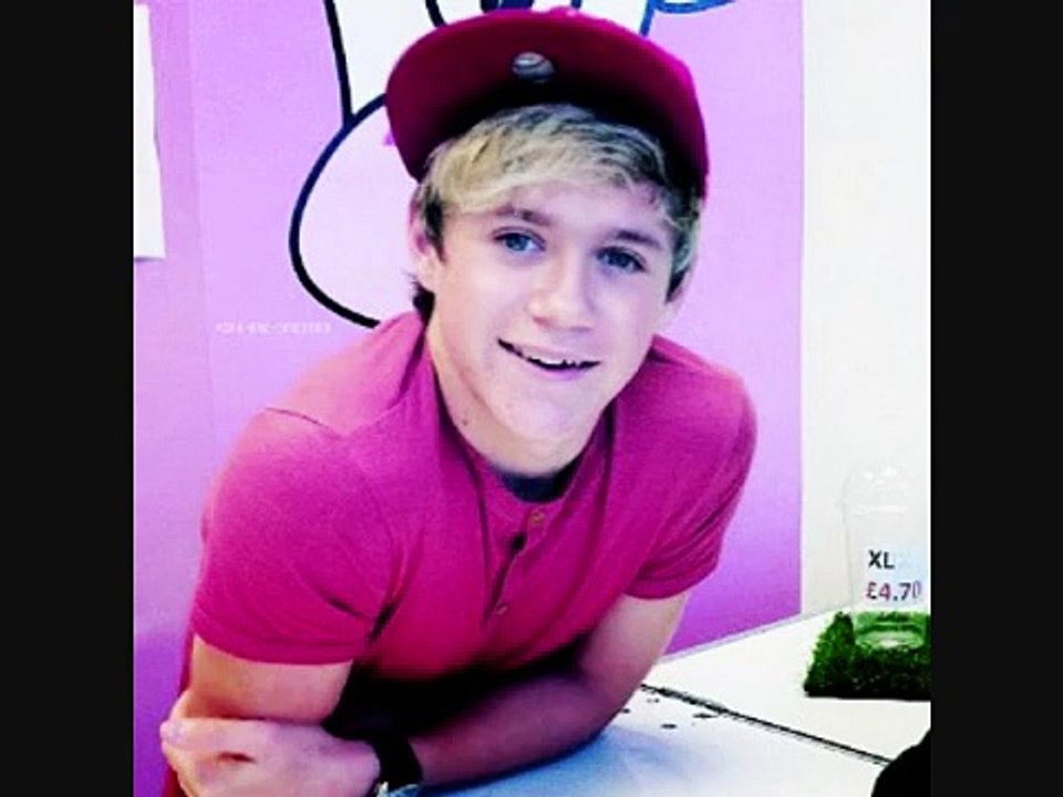 It Wasn't Me (Niall Horan Video) With Lyrics