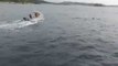 Dolphin Pod's Fun Off Irish Coast Captured by Drone