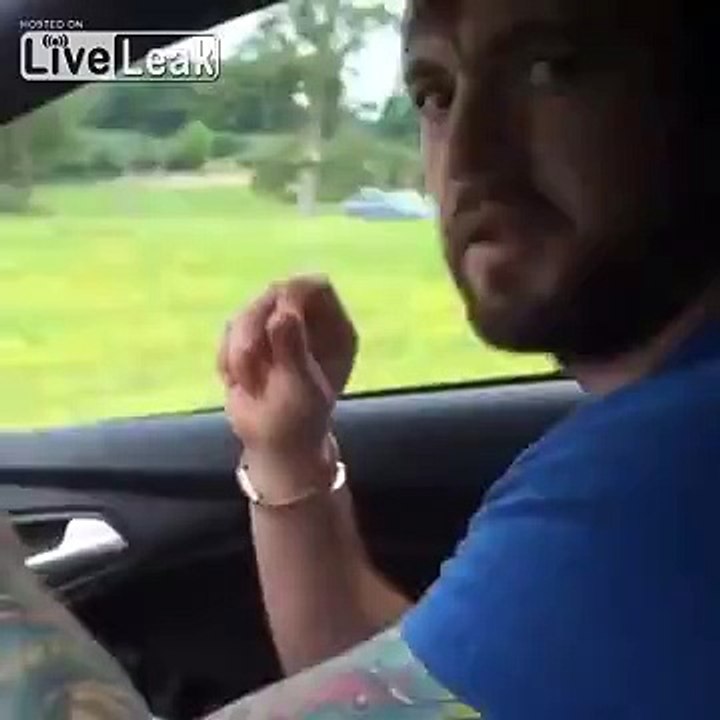 There's a Monkey on the Car...