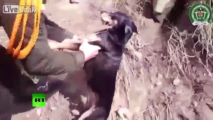 Dramatic rescue- Colombia police pull dog from mudslide, give him mouth-to-mouth