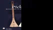 Pickin Stick Building a Stringed Instrument