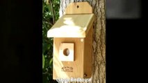 Bird Houses - Nesting Boxes