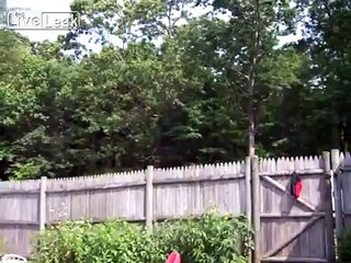 A little poop privacy please