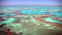 The Great Barrier Reef is UNDER THREAT, Join the Fight for the Reef!!
