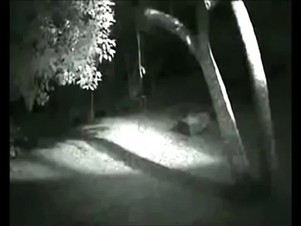 Strange humanoid creature caught on video