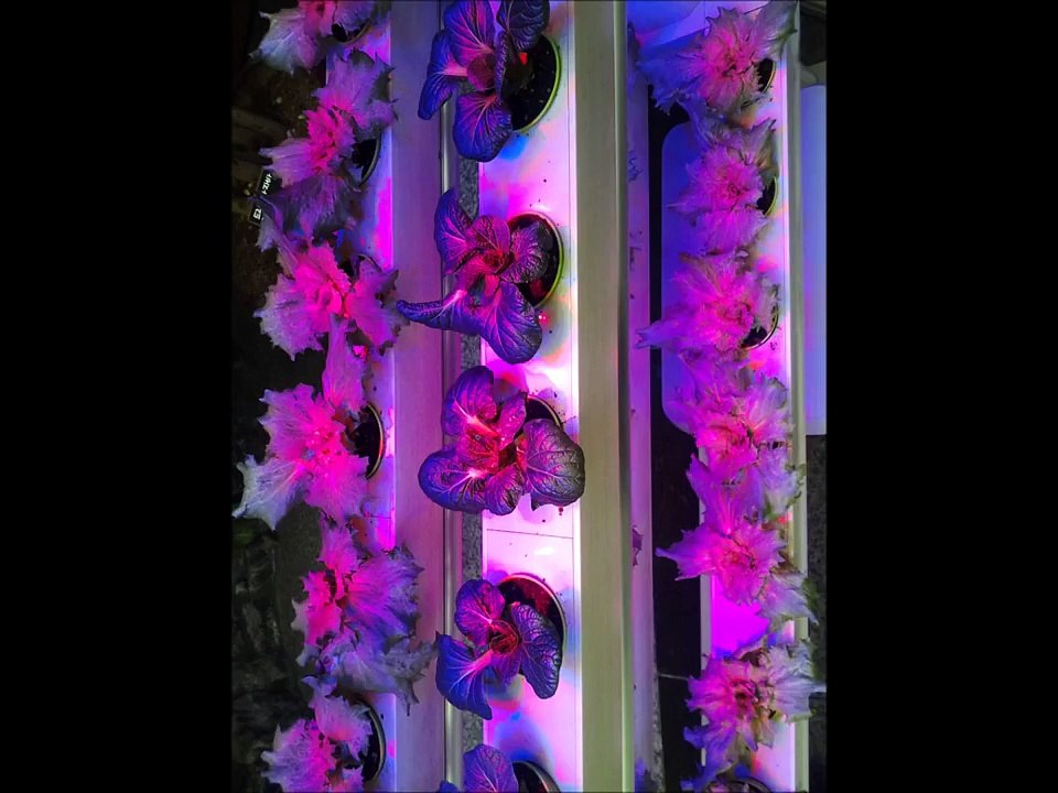 신유 힛트곡 13곡.wmv