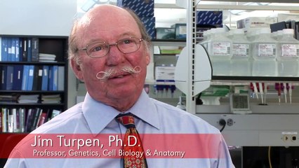 UNMC- Durham Research Center II - Regenerative medicine research