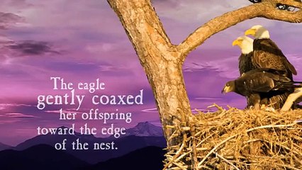 Even Eagles Need a Push by David McNally