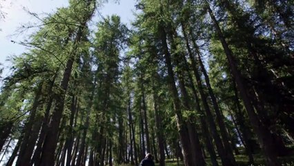 Le concept Renault Alaskan annonce le pick-up d’une tonne de charge utile