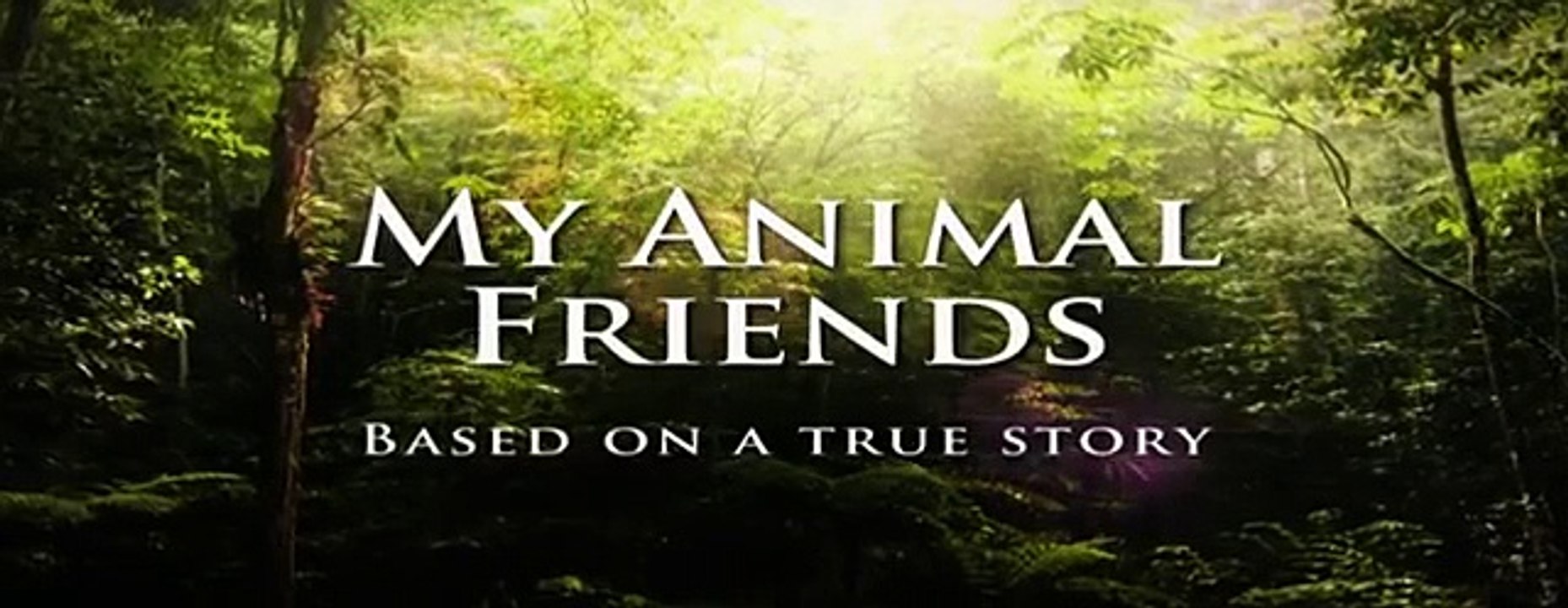 Dingo - My animal friends - Animals Documentary -Kids educational Videos
