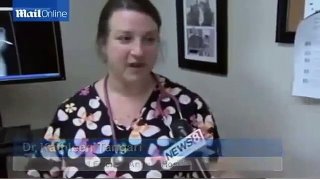 Cat survives being impaled by an arrow in 'target practice attack'