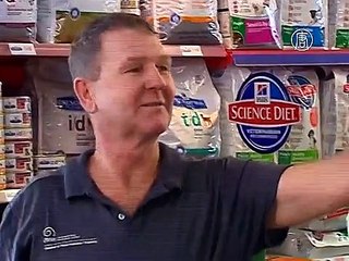 В Австралии с одного барана состригли 40 кг шерсти