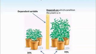 Variables tutorial