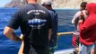 Catalina Island Yellowtail fishing
