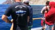 Catalina Island Yellowtail fishing