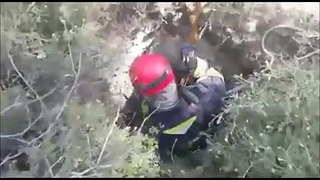 Fire fighters rescue dog out of a pit
