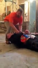 ENGLAND FUNNY LABER.....