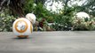 This is THE Star Wars VII Toy you'll buy!! Mini BB-8 Droid!