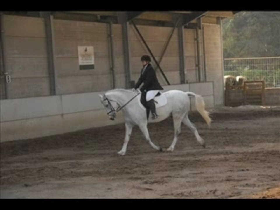 Ardichamps 15.04.07
