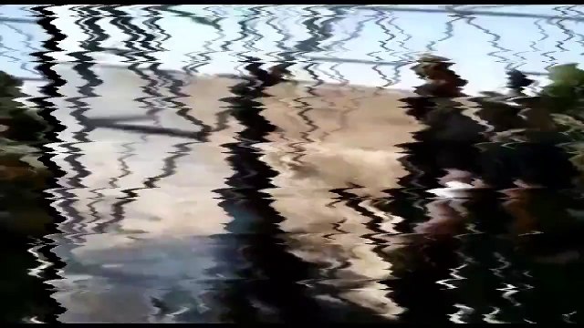 Abu Azrael convierte en Kebab a un par mercenarios (ISIS) de EEUU/OTAN/Israel