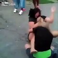 Guy With No Legs Or Arms Jumps Head-First Into Catfight