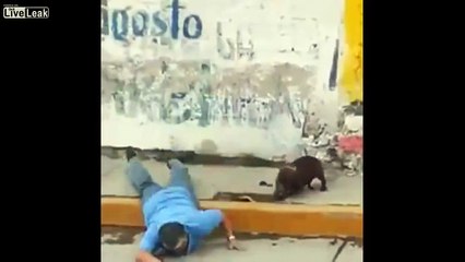 Karma/Stupidity Compilation.