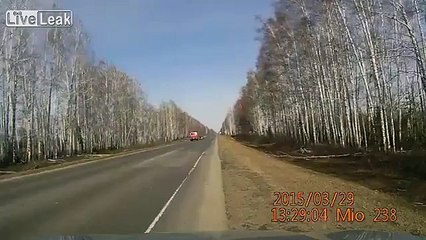 A large tree falls on a Russian highway damaging a car