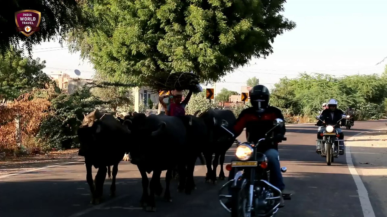 Royal Enfield trip au Rajasthan | voyage moto Inde