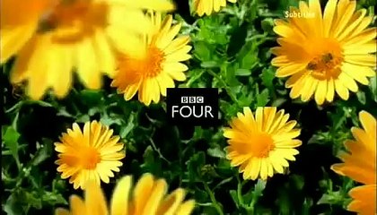 Quantum Revolution: Unlocking the Future of Technology 🚀