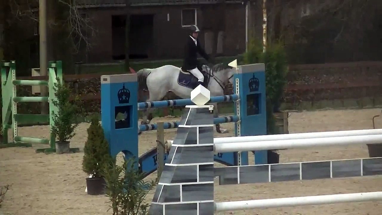 MDR Stables: Auckland 03-04-2015 (1.35m)