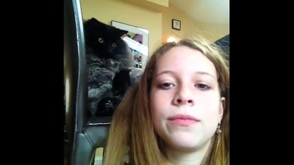 ЖИВОТНЫЕ #2 - TOP 5 Vine (Animals)