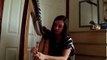 Wildest Dreams | Taylor Swift (Harp Cover)