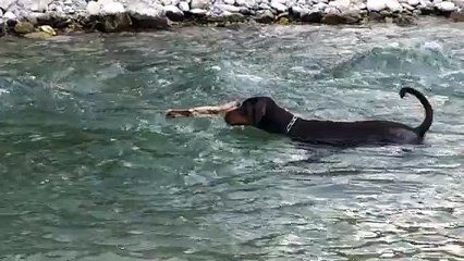 Junior apprend a nager