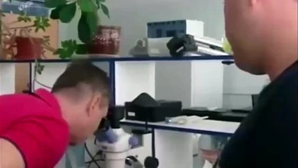 Scientist Confused After Alien Corpse Found in Russia