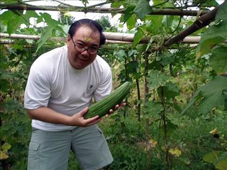 Vegetable farming at Barangay Pajo, Alimodian