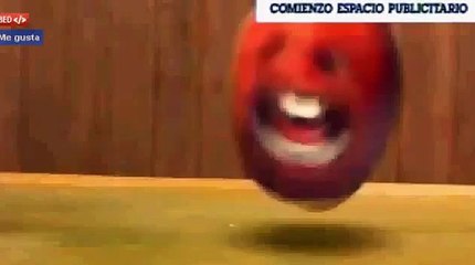 Cartoon network LA CHECK it 3 0 La naranja molesta Bumper 2