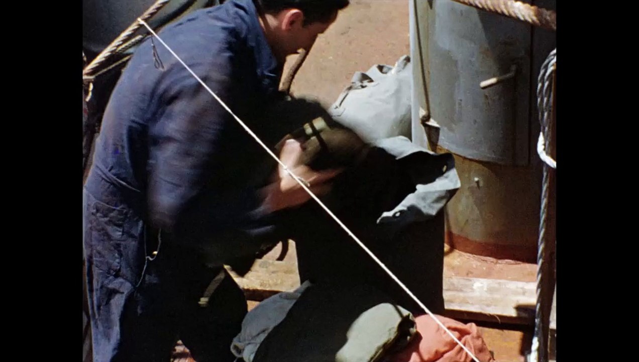 LA GLACE ET LE CIEL - Bande-annonce VF