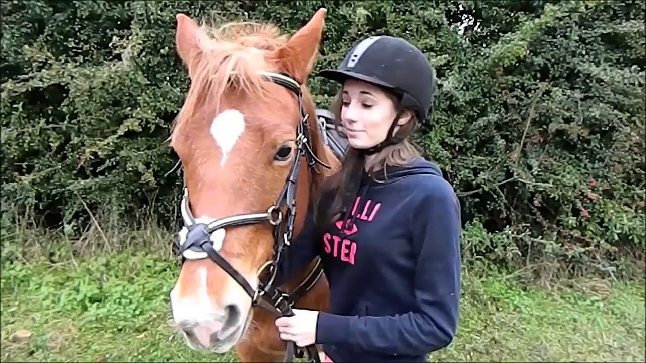 Dream Horse Ep#1 { le début de l'entrainement à la compétition }