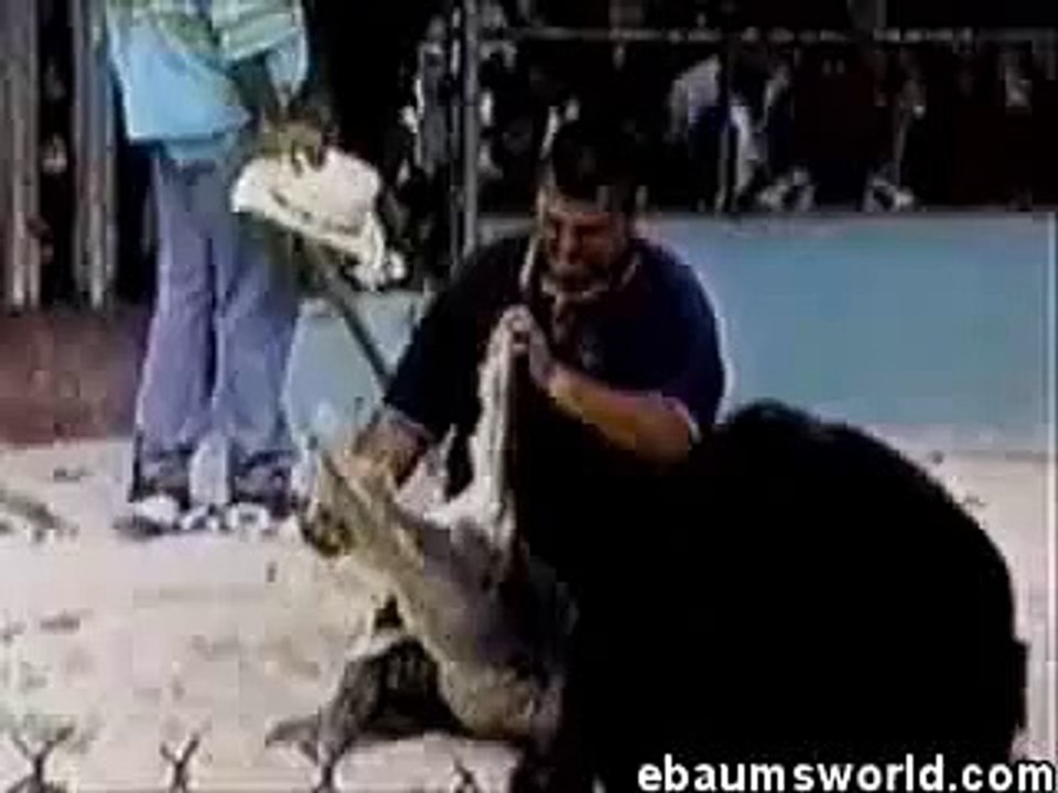 croc