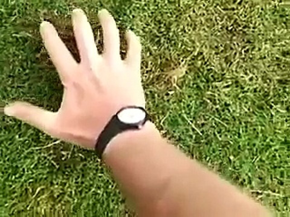 Attraper une taupe à main nue