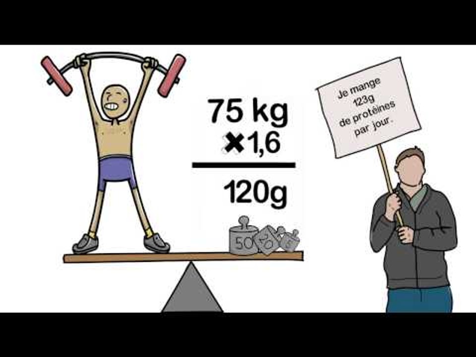 Les protéines en chiffres