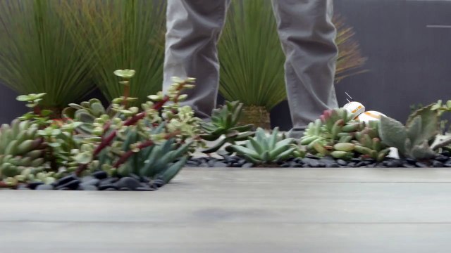 Jouez avec le droïde BB-8 de Star Wars grâce à Sphero !