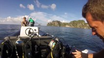 Scuba Diving: Koh Phi Phi's Ship Wreck