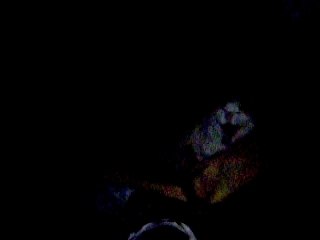 Fripouille dans sa bassine