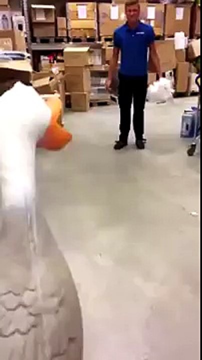SCREAMING TOY DUCK KICK [VINE]