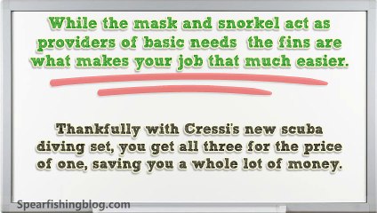 Cressi Gara Professional LD Grey Scuba Diving Fins Review