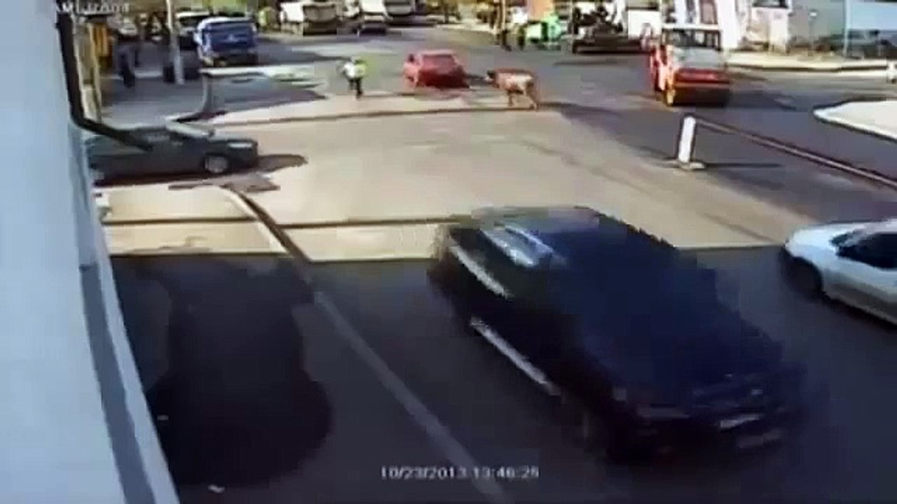 Bull attacks traffic police
