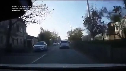 Russian Dog Uses Crosswalk