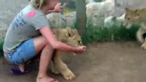 Young Lady Is Getting Mauled By Two Young Lions